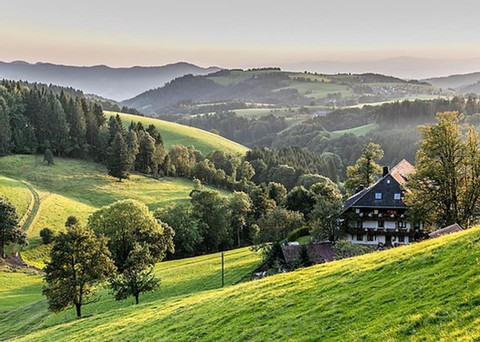 Ferienwohnung Lotti + Hochschwarzwald Card Titisee-Neustadt Ngoại thất bức ảnh