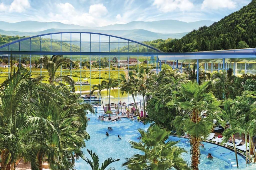 Ferienwohnung Lotti + Hochschwarzwald Card Titisee-Neustadt Ngoại thất bức ảnh