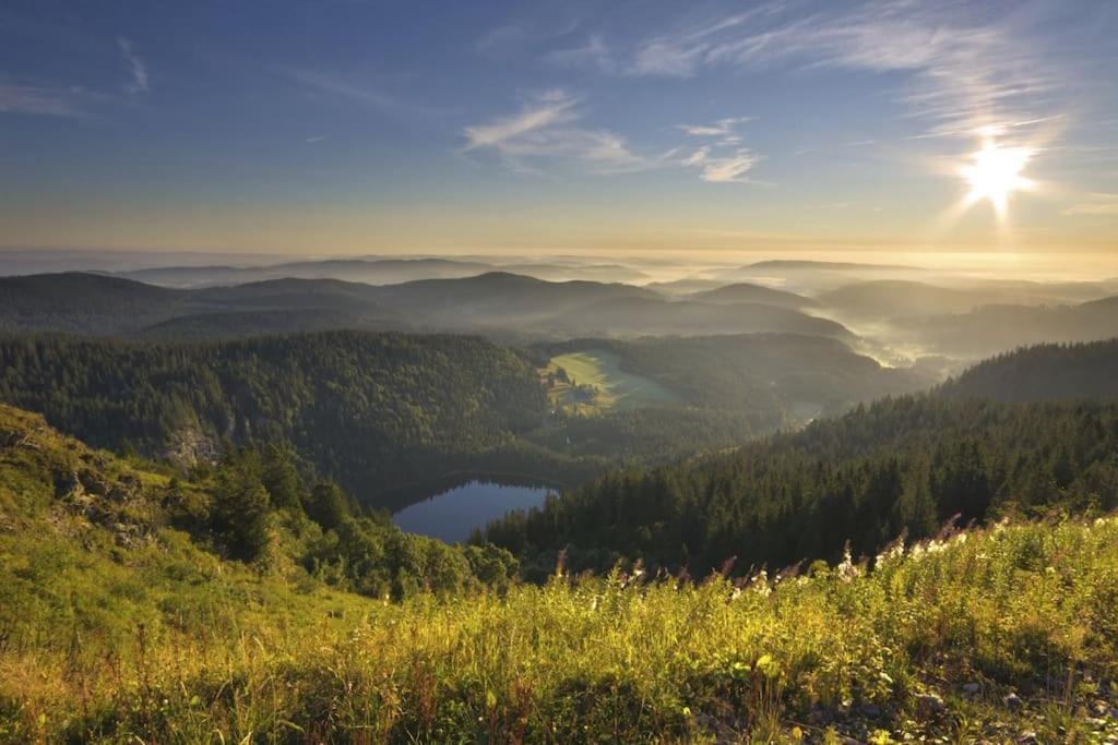 Ferienwohnung Lotti + Hochschwarzwald Card Titisee-Neustadt Ngoại thất bức ảnh