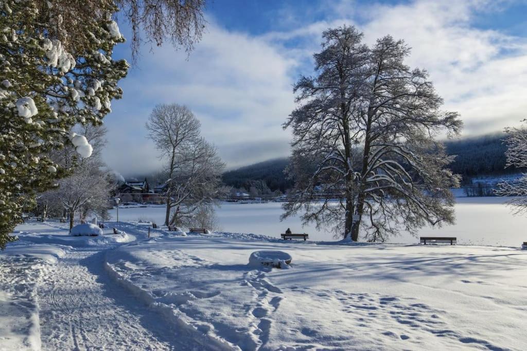 Ferienwohnung Lotti + Hochschwarzwald Card Titisee-Neustadt Ngoại thất bức ảnh