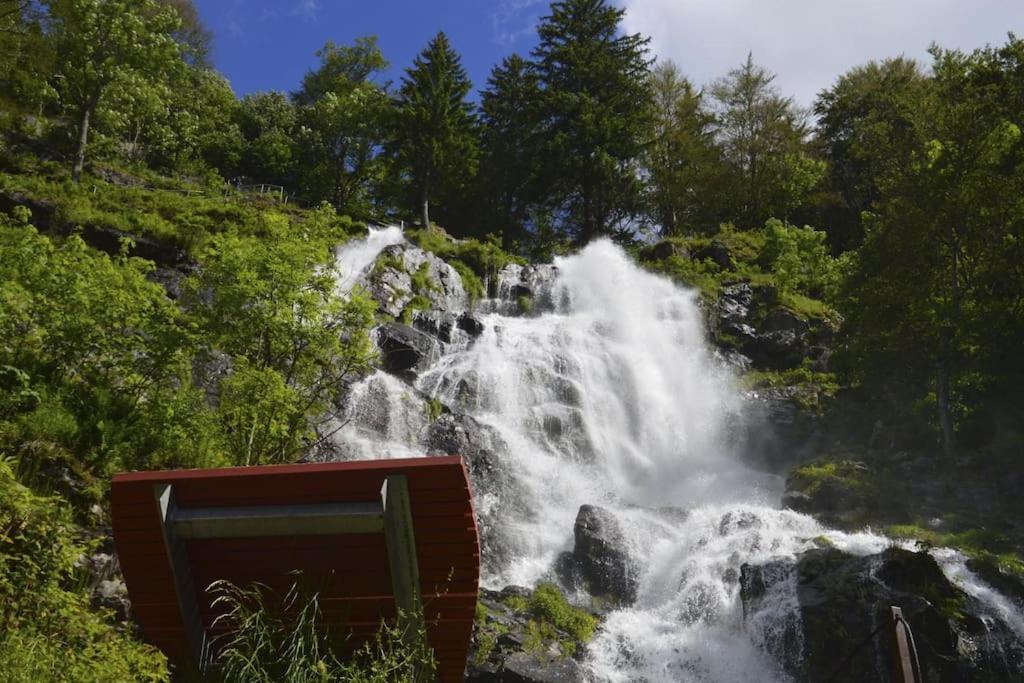Ferienwohnung Lotti + Hochschwarzwald Card Titisee-Neustadt Ngoại thất bức ảnh