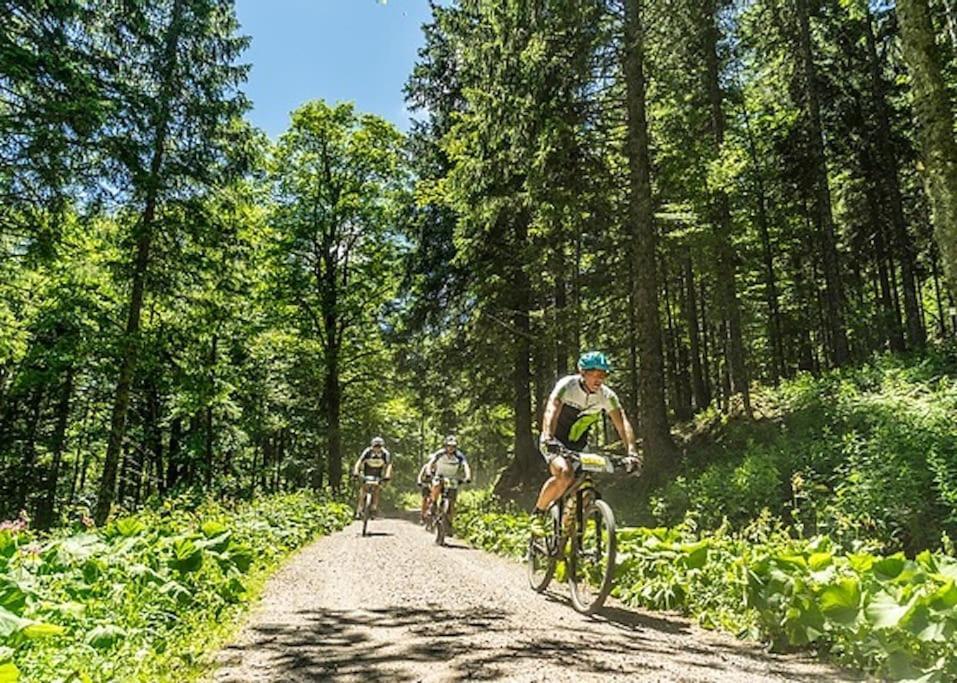 Ferienwohnung Lotti + Hochschwarzwald Card Titisee-Neustadt Ngoại thất bức ảnh